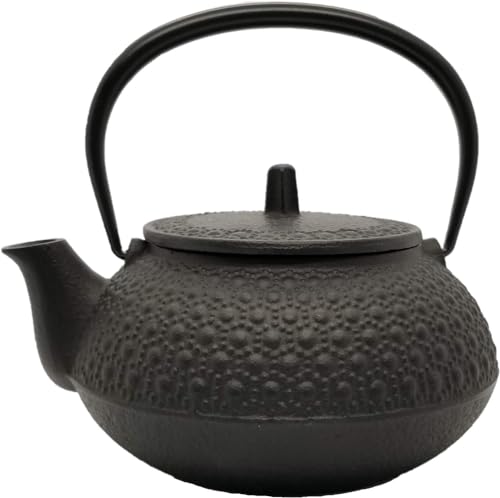 Nambu Tekki Cast Iron Teapot Tetsubin